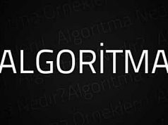 Algoritma Nedir? Algoritma Örnekleri!